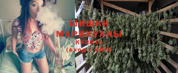 дживик Богданович