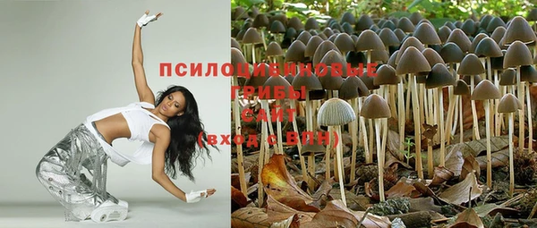 эйфоретик Беломорск
