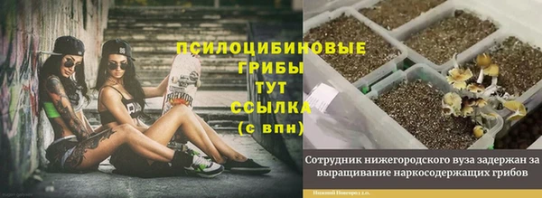 бошки Богородск