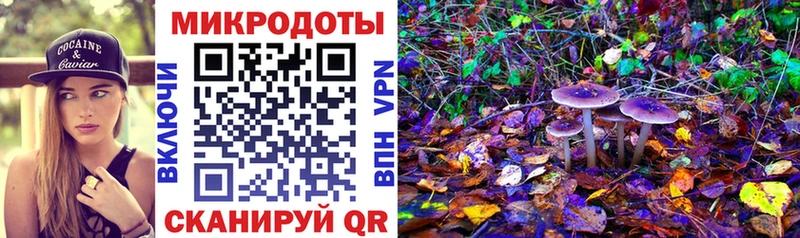 как найти закладки  площадка формула  Псилоцибиновые грибы мицелий  Михайлов 